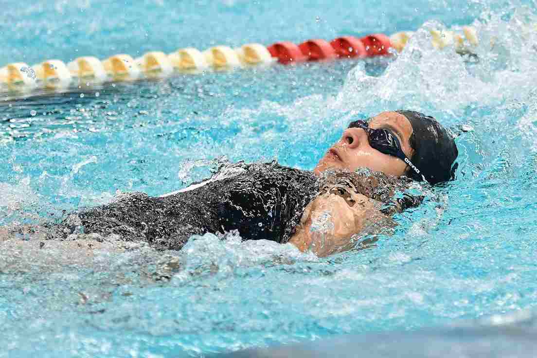 natación, deporte, compañía, verano