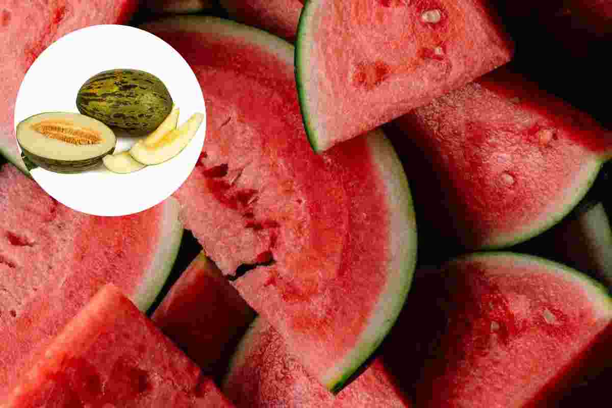 Sandia y melón para perder peso