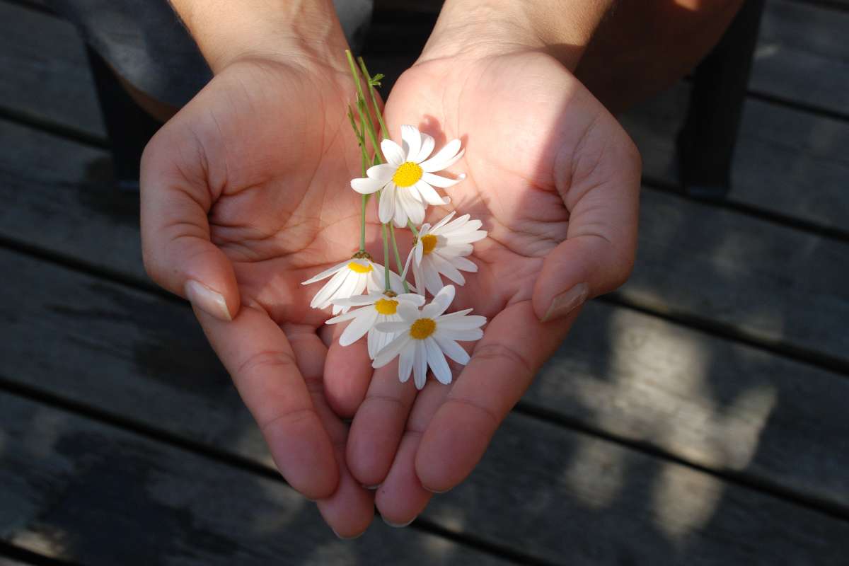 mano con flores