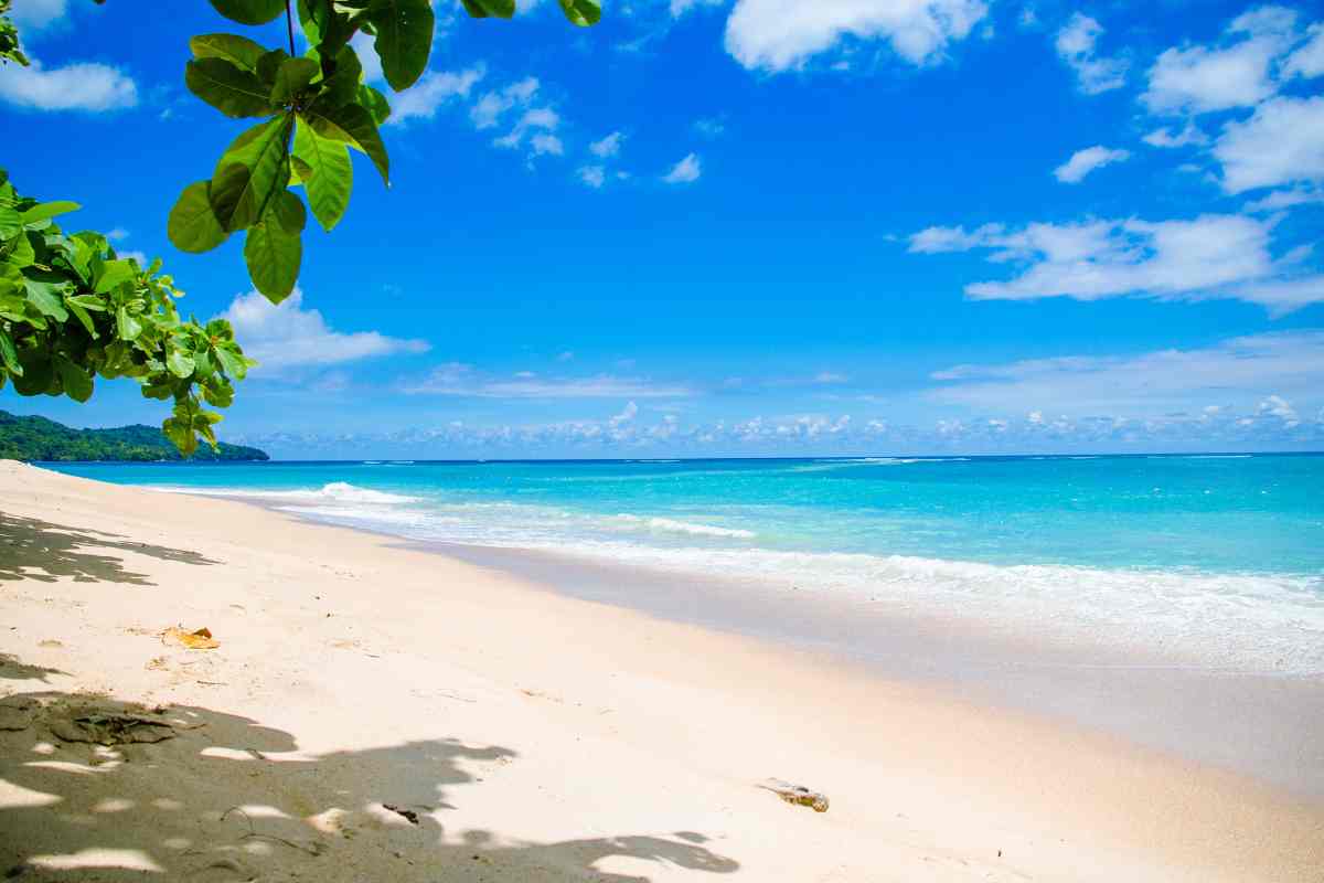 playa paradisíaca 