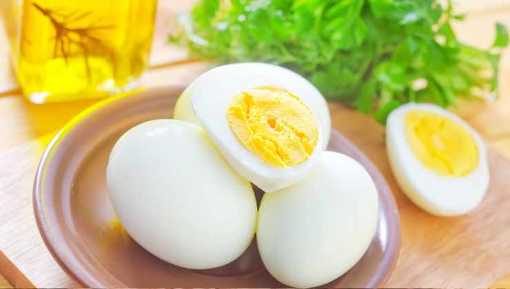 huevo duro proteína alimento saciante