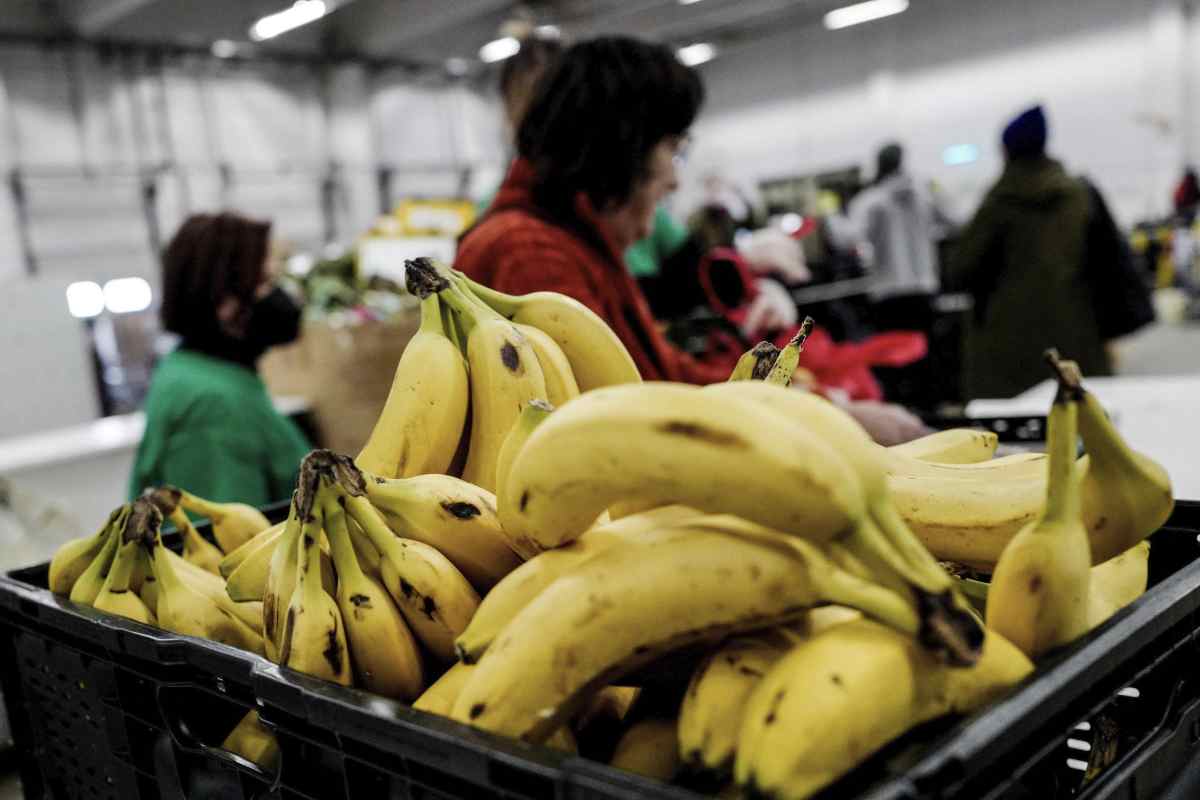 plátanos mercado fruta alimentos