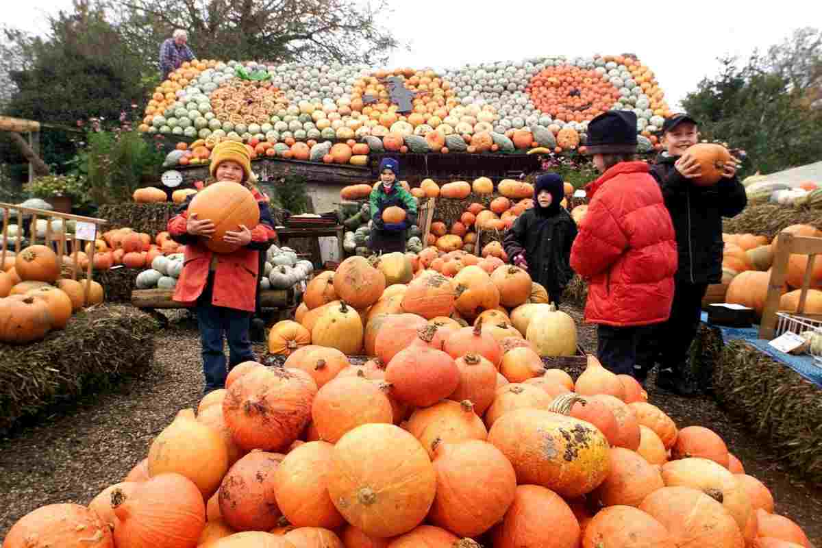 Platos con calabaza