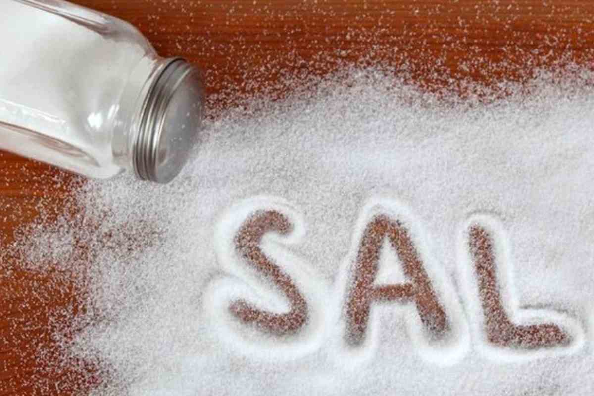 ¿Qué es realmente la sal ligera?