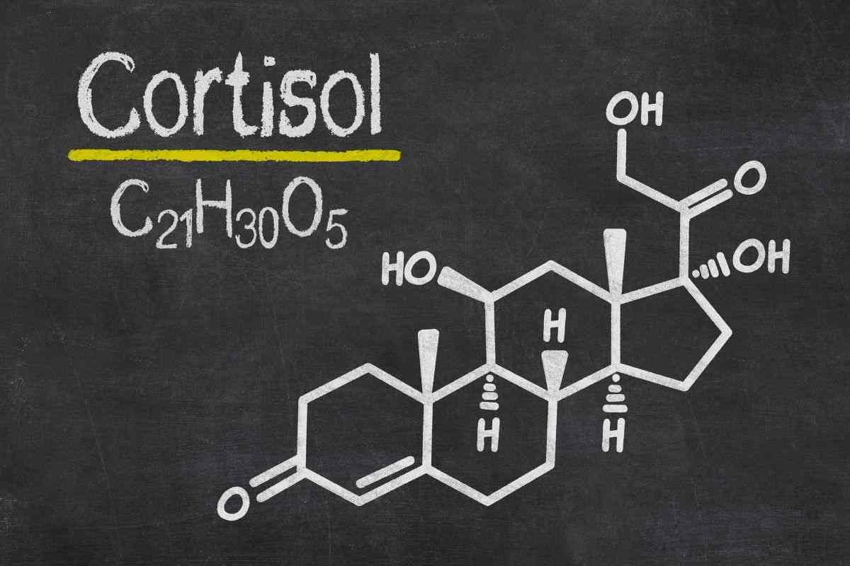 Cortisol, la hormona más famosa de nuestro organismo