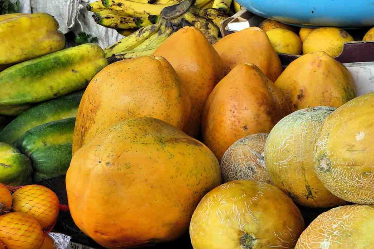 Fruta exótica hacer frente invierno