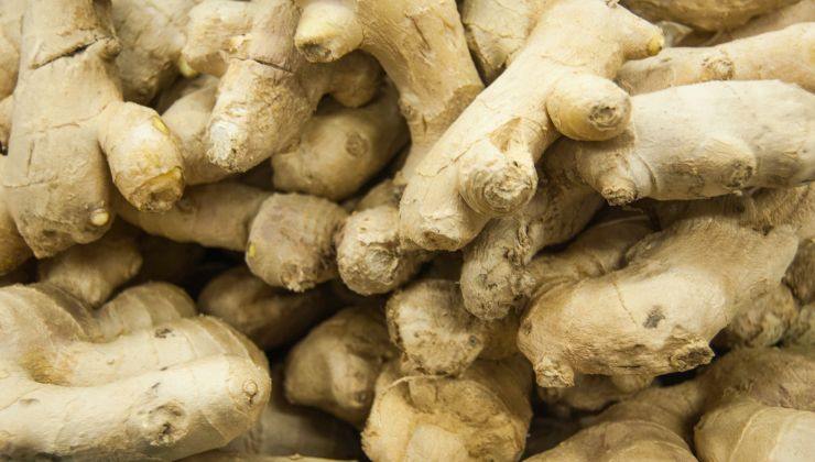 Un superalimento que ayuda a la digestión 