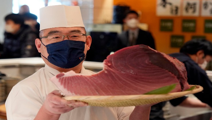 El atún es uno de los mejores pescados con proteínas.