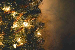 Lado negativo árbol Navidad no conocías
