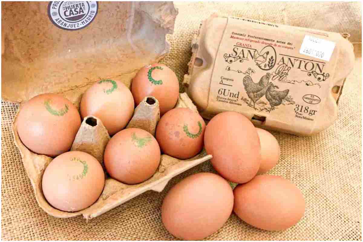 Huevos granja proteínas beneficios colesterol