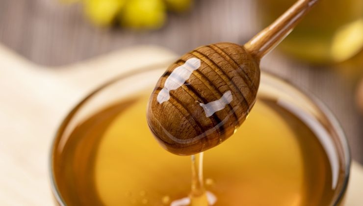 Las curiosidades de la miel