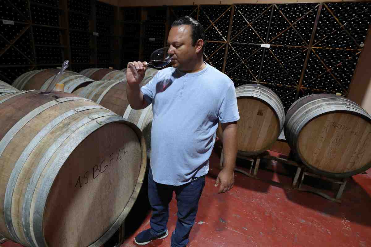 Beneficios del vino tinto, mito o realidad