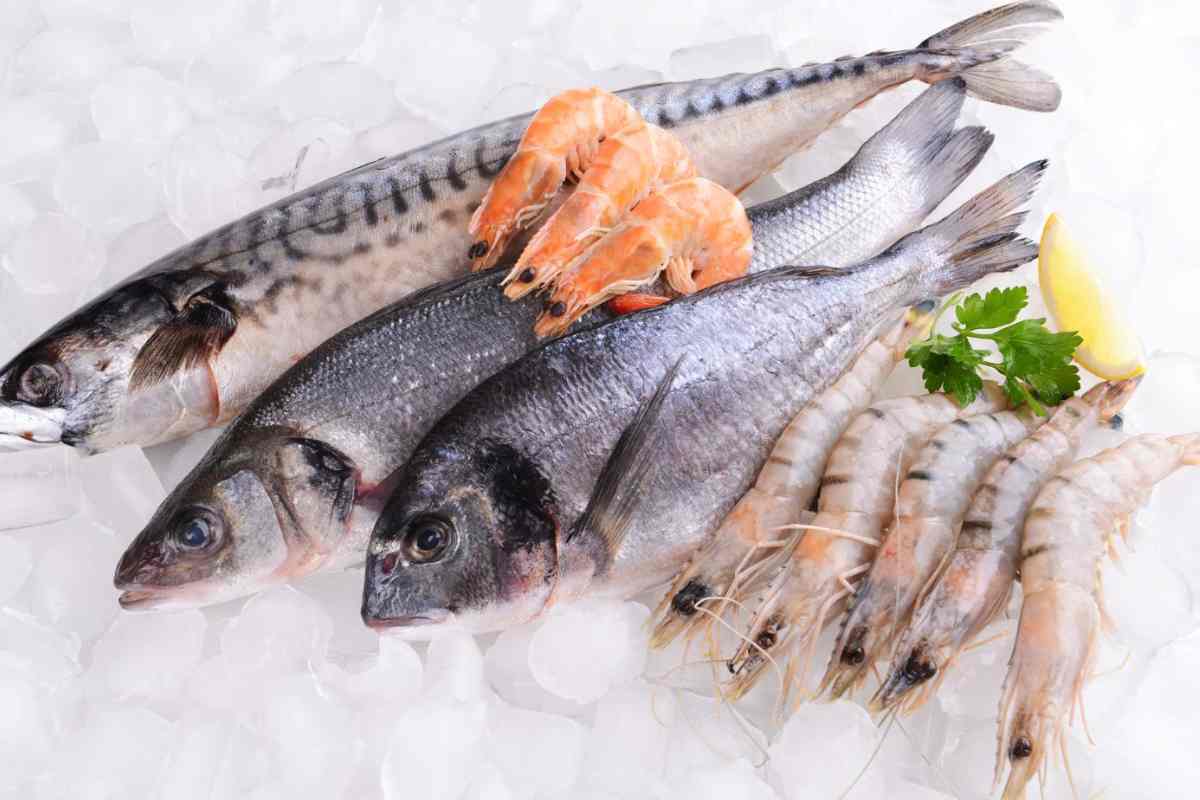 Descubre cómo conservar pescado en casa.