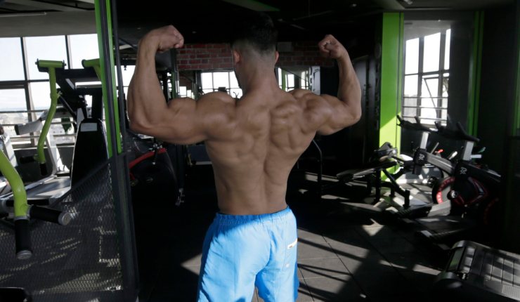 Gimnasio músculos entrenamiento