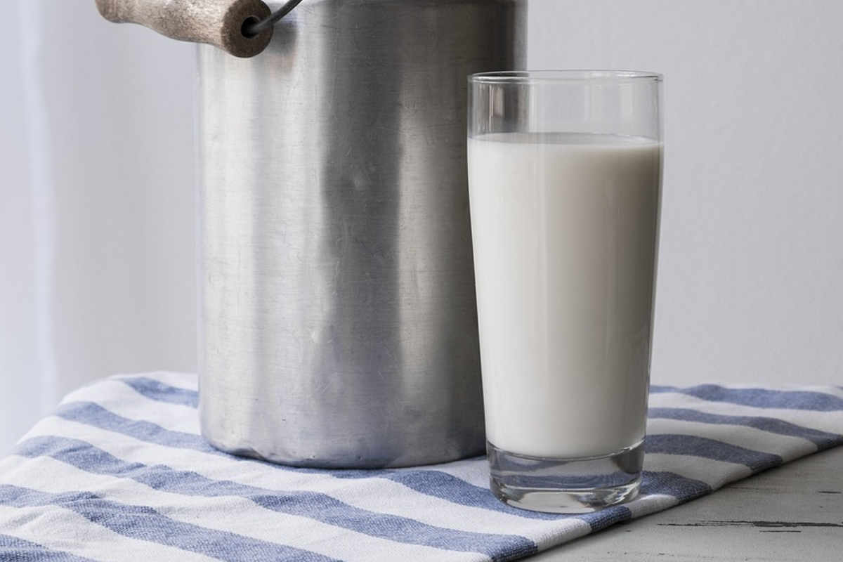La leche de avena y sus beneficios