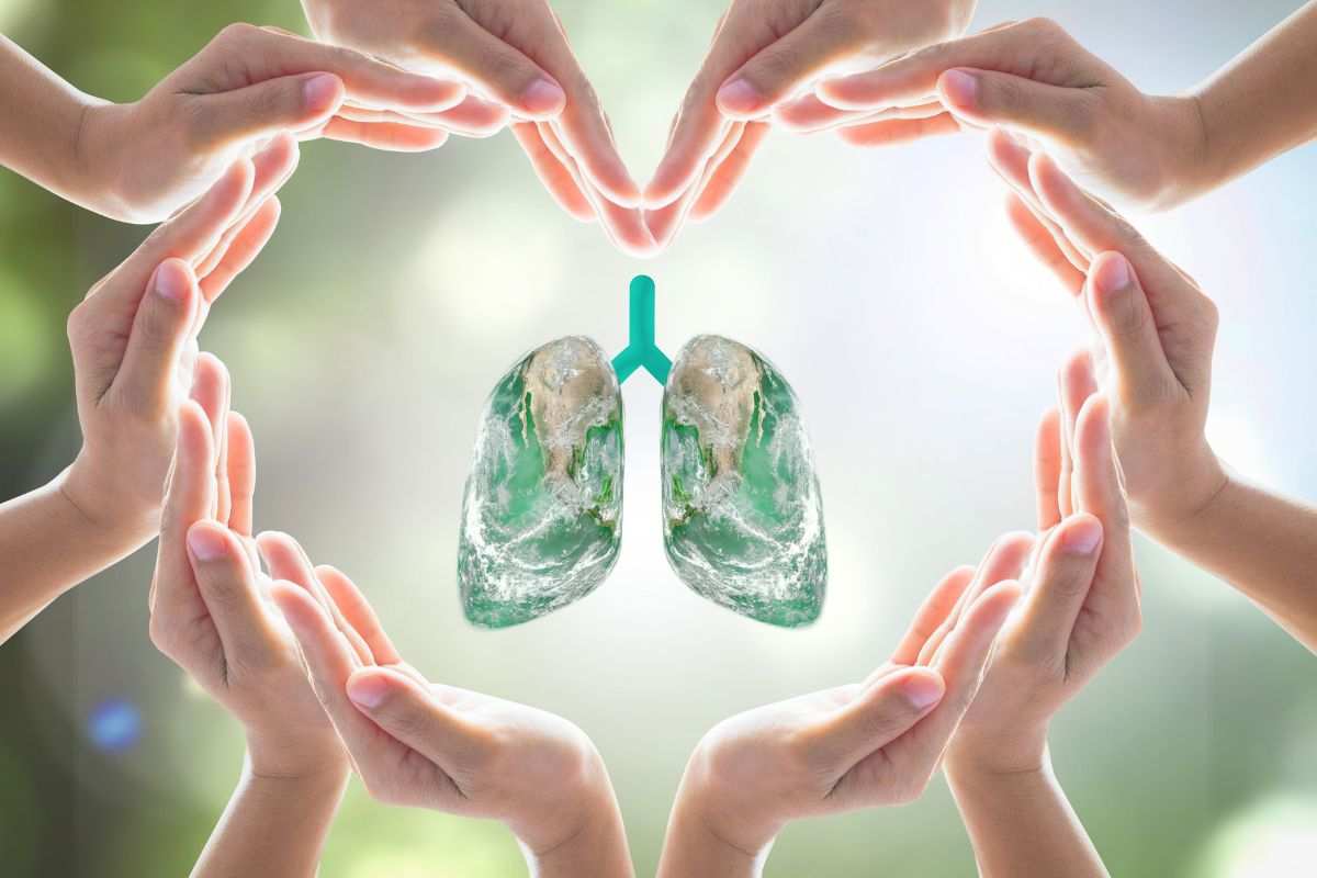 pulmones consejos salud alimentos nutrición enfermedad