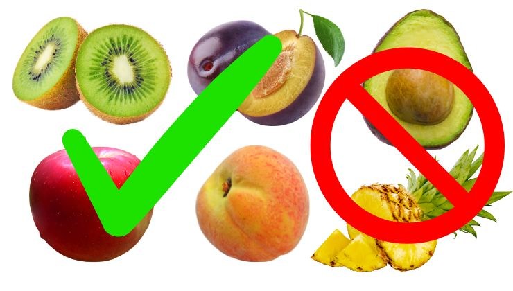 frutas alimentos piel alimentación nutrición consejos