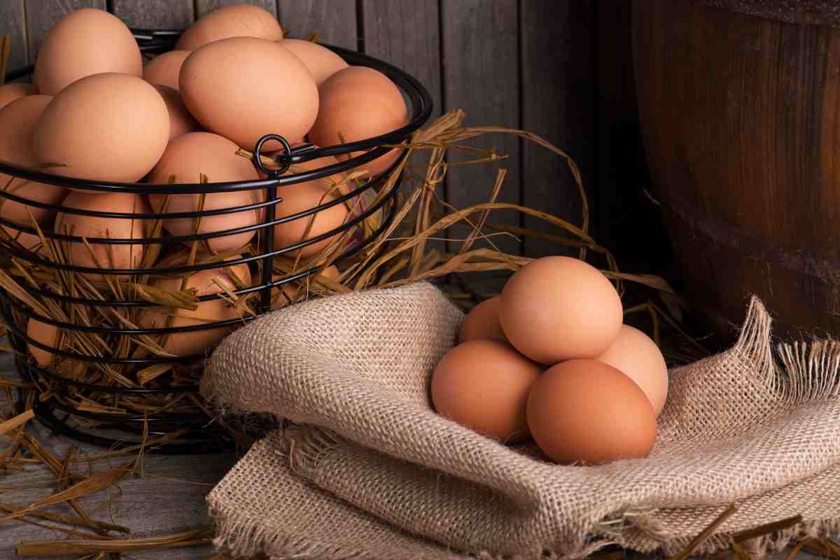 huevos errores cocinar manipular alimento riesgos