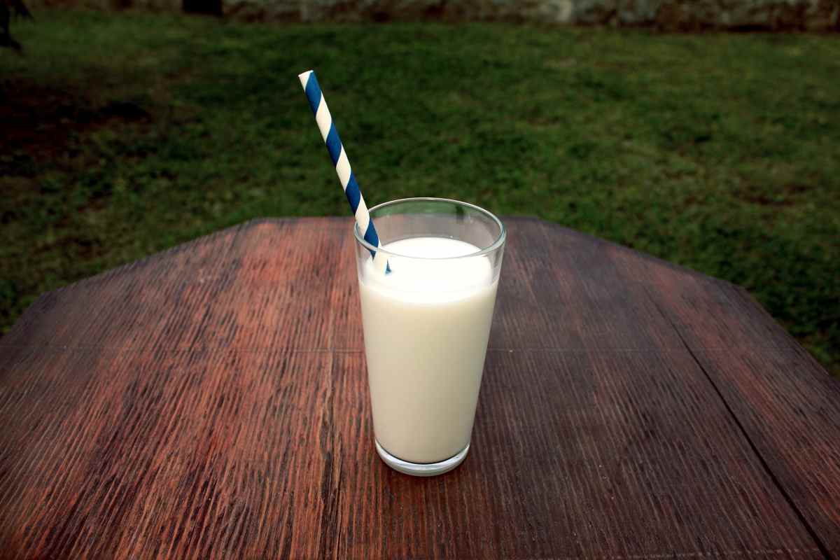 Leche ocurrir cortada