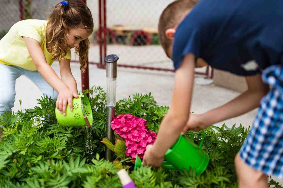 plantas bebés niños hogar casa mamá consejos