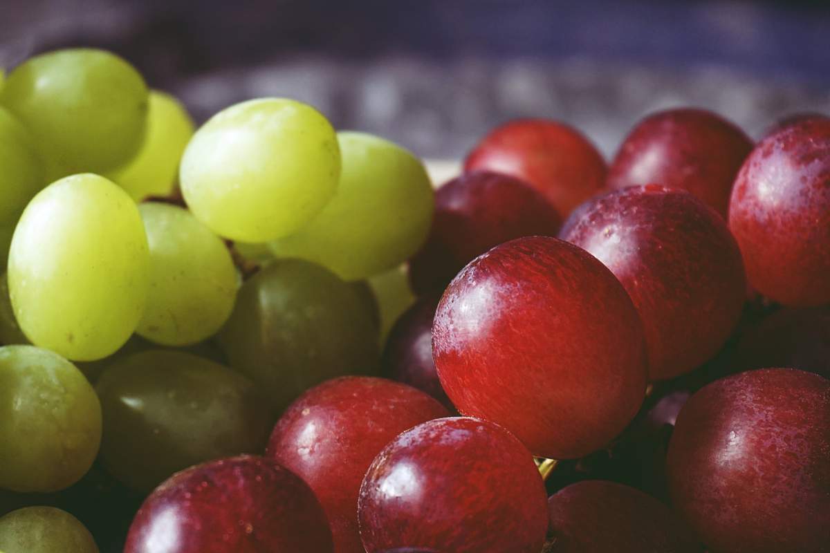 Uvas beneficios salud