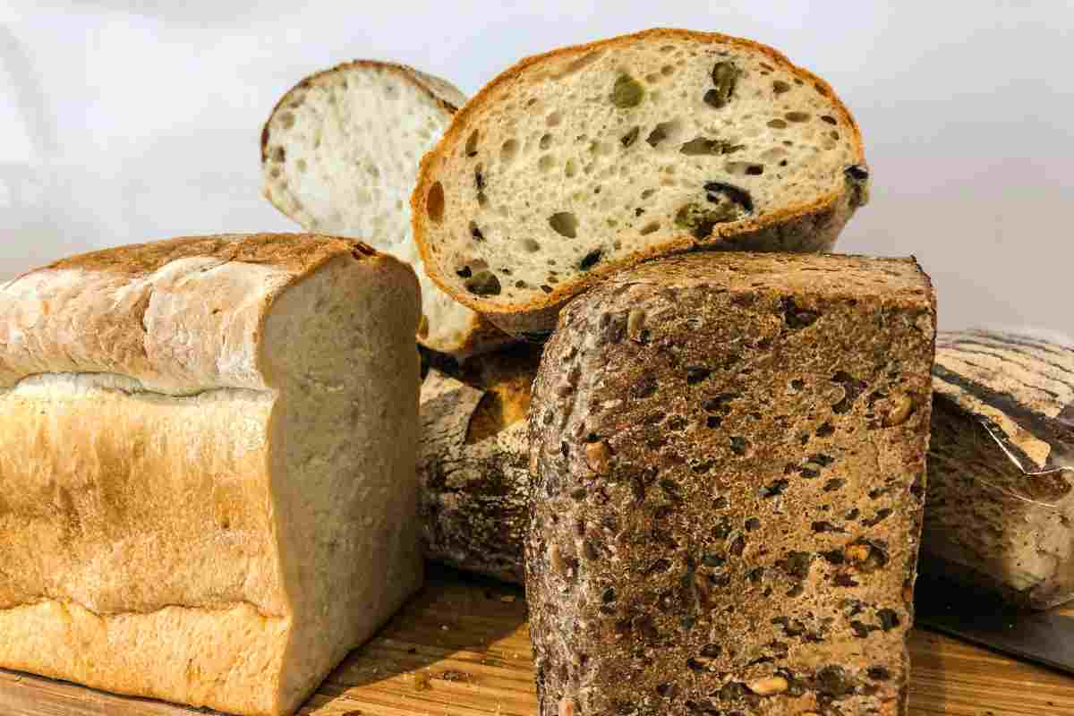 único pan recomendado dieta saludable
