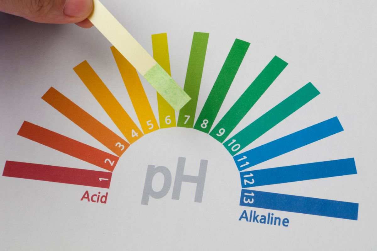 Tener el pH perfecto en el organismo