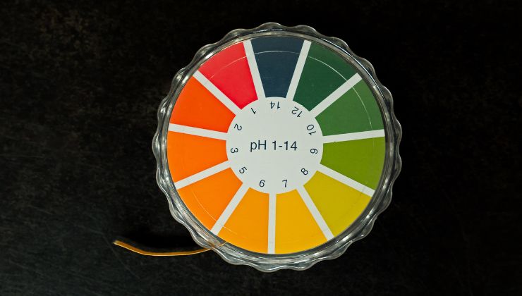 Tener el pH perfecto en el organismo