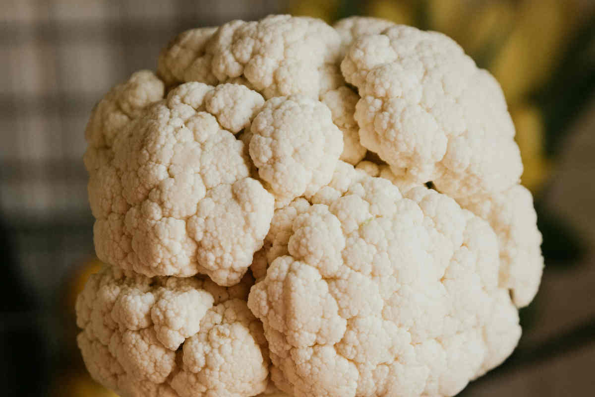 Receta con coliflor