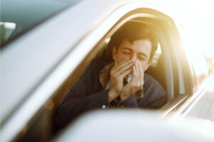 estornudo salud alergia primavera coche consejos