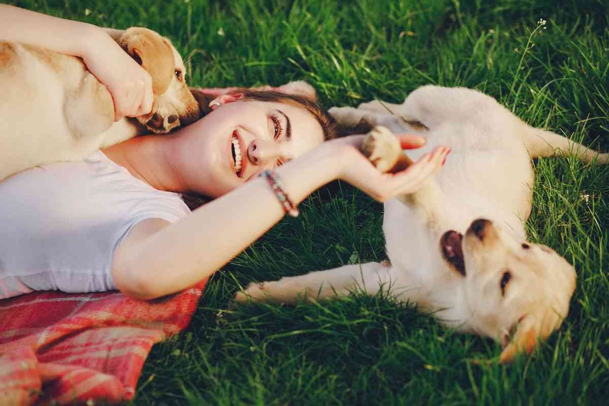 perro mascotas personas alergias animales