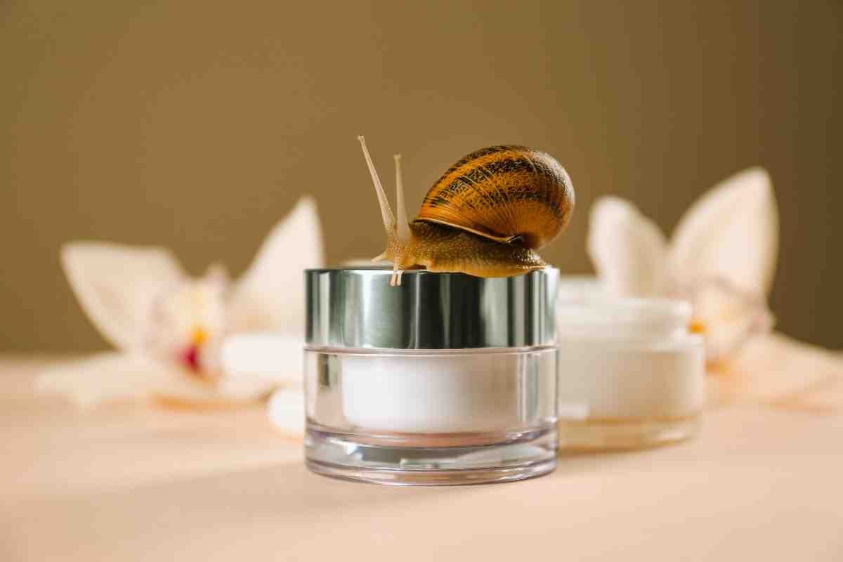 caracol sobre producto de crema