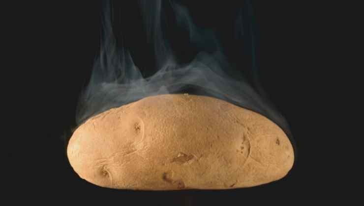 patata hervida