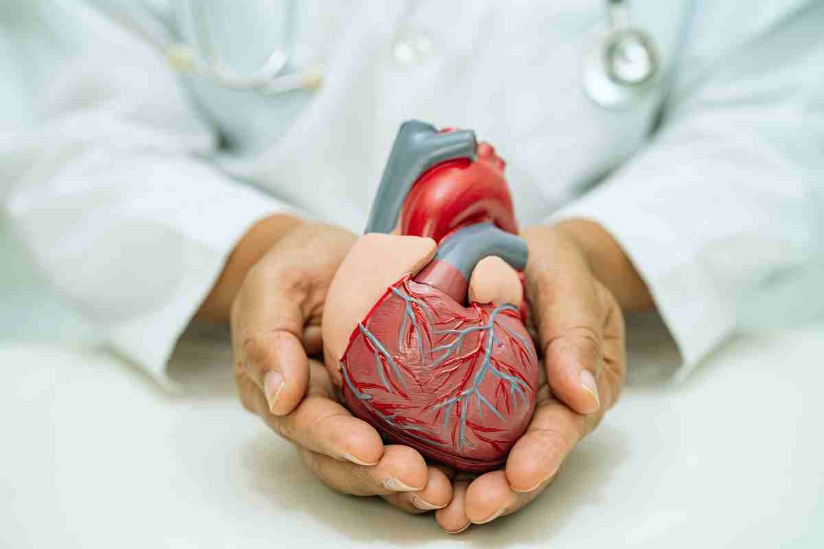 corazon en mano a un medico