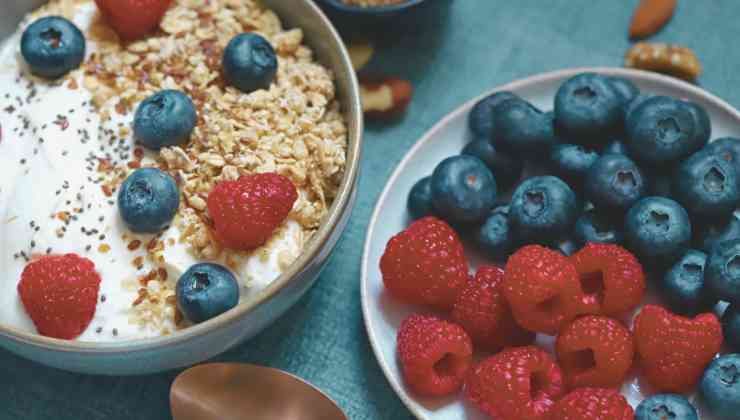 avena frutos rojos