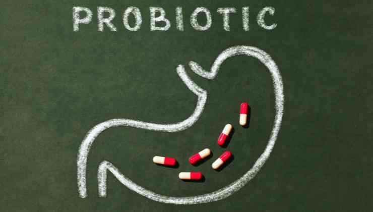 intestino y probioticos