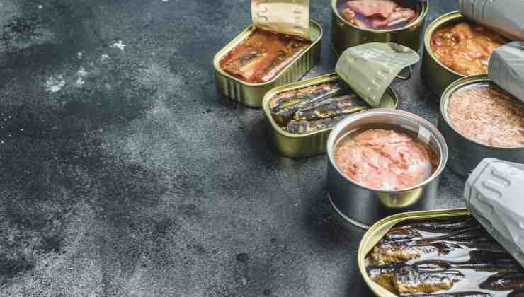 conservas en latas