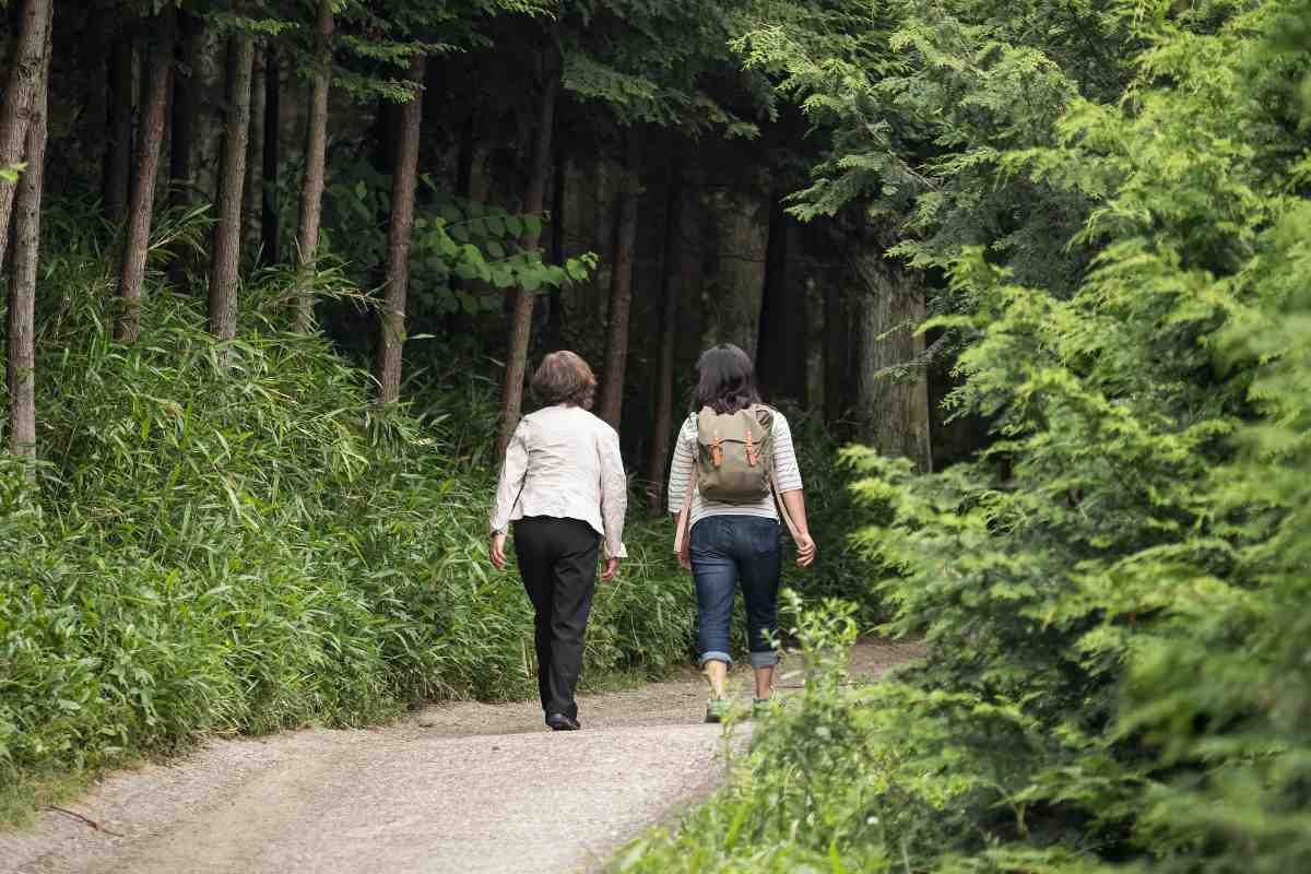 caminata japonesa