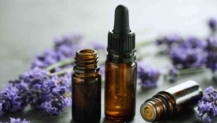 aceite de lavanda en botellas