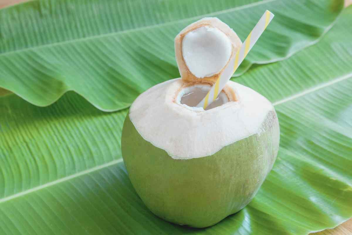 noce di cocco e cannuccia