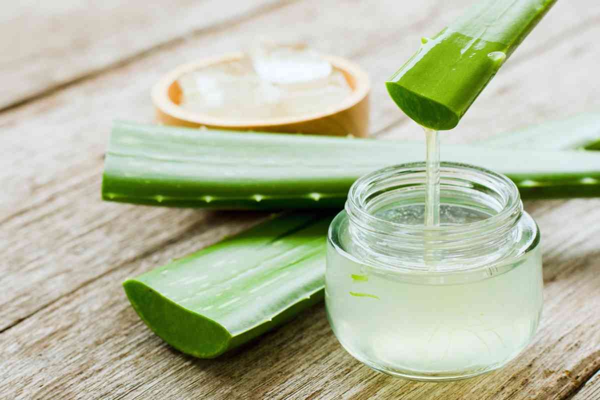 gel e pianta aloe vera in barattolo