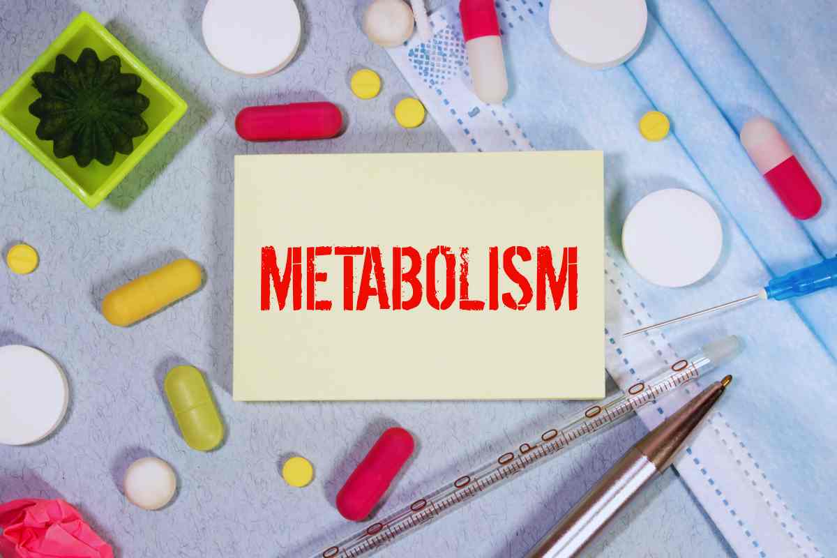 scritta metabolismo