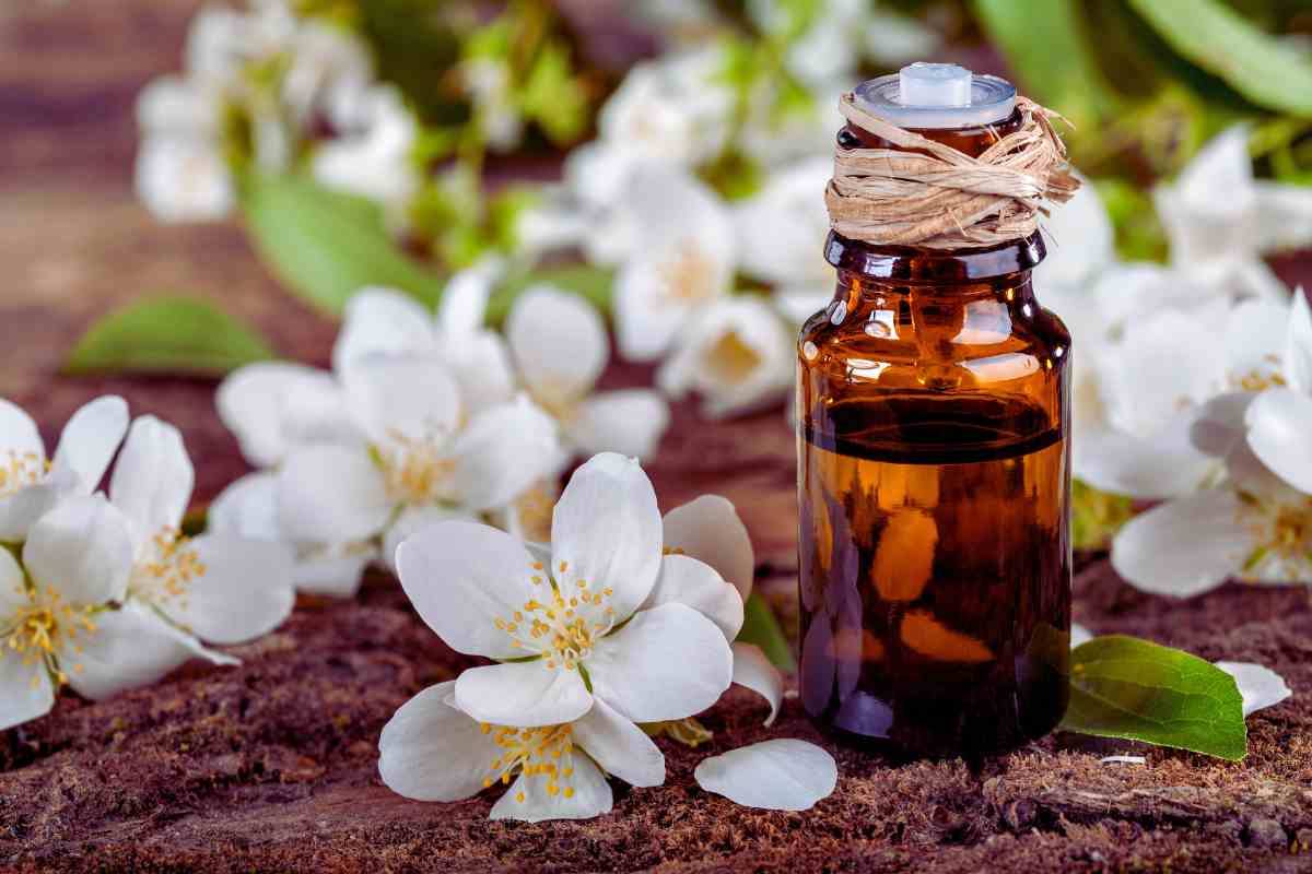 flores y botella de aceite 