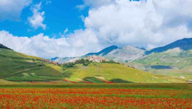 paisaje colorido