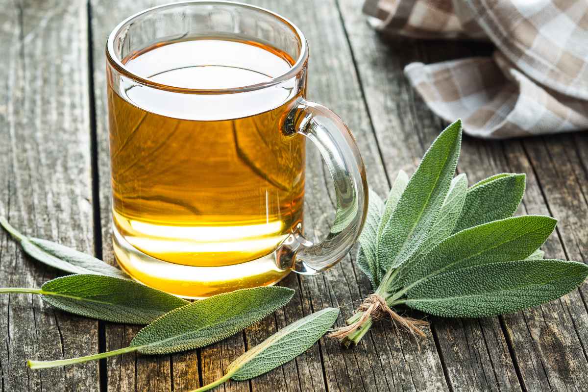 Bicchiere con tisana e foglie di salvia su tavolo di legno