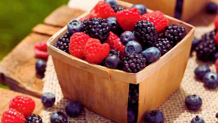 frutos de bosque