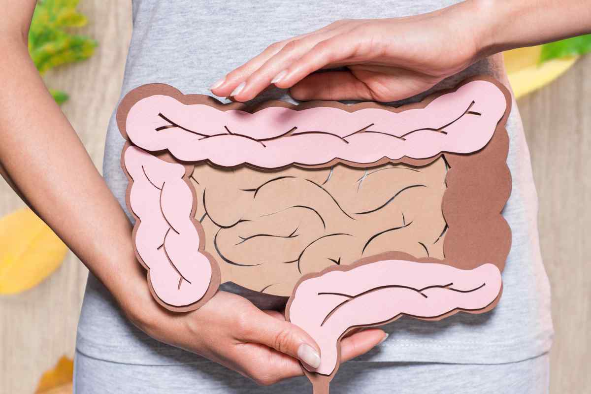 reequilibrar el intestino