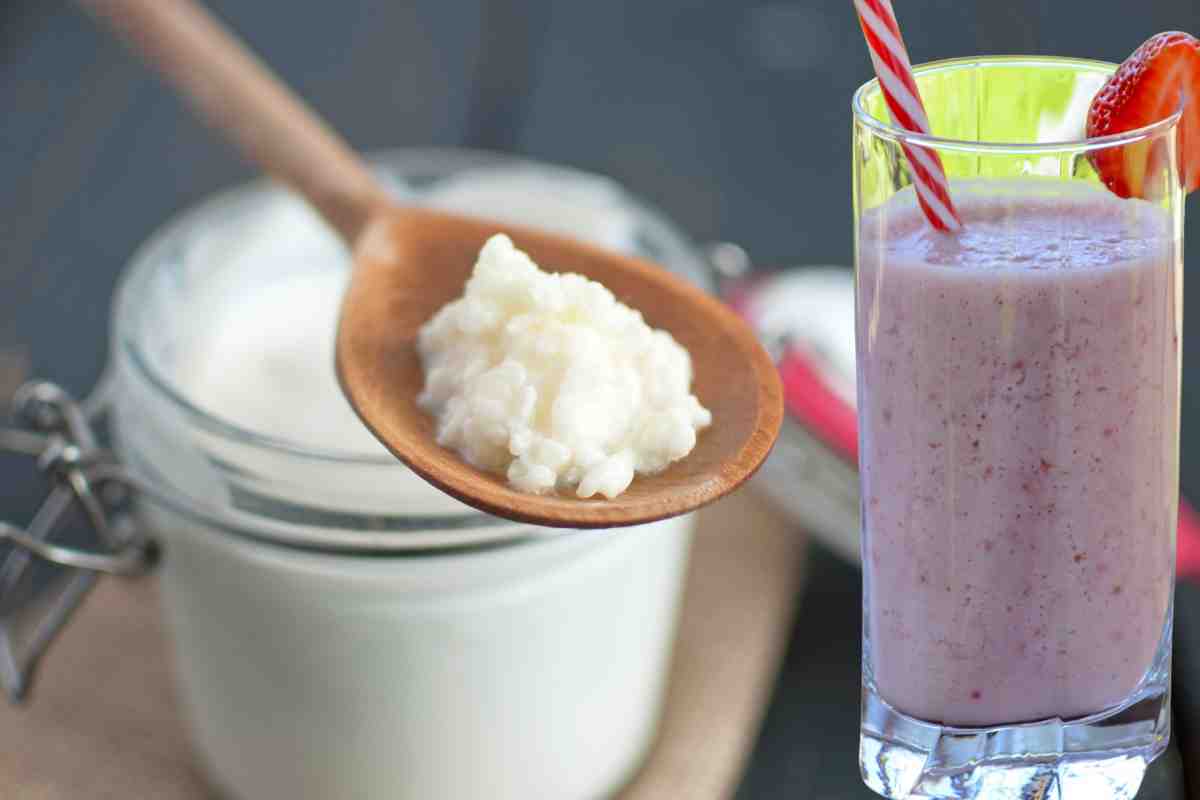 kefir