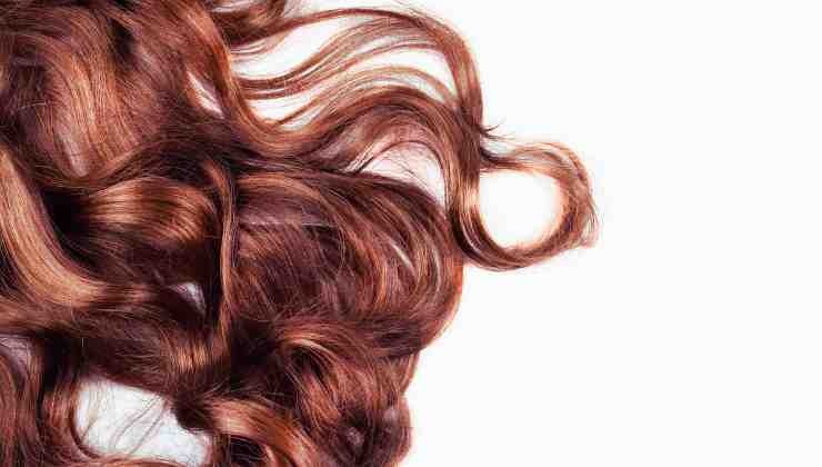 capelli castani al vento 